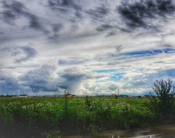 Scenic view of agricultural field against sky