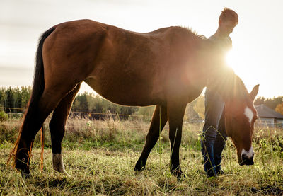 Man standing by horse grazing on field against sky