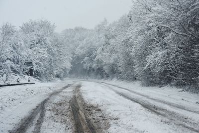 Snow covered road amidst trees during winter