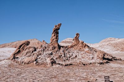 Dead tree in desert against clear blue sky