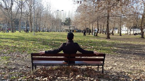 Rear view of girl sitting on bench in park