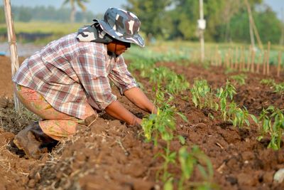 Man working in farm