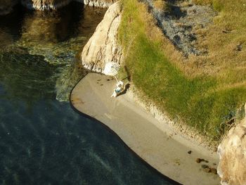High angle view of people on beach