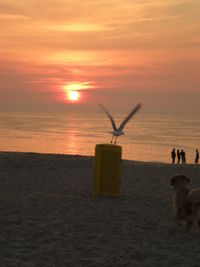 Scenic view of beach against sky during sunset