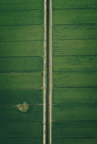 Full frame shot of green field