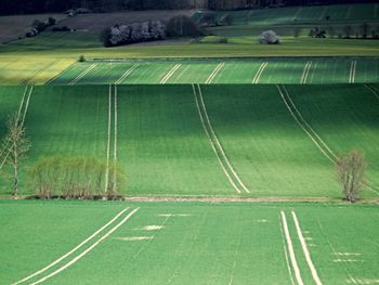High angle view of green landscape with tracks 