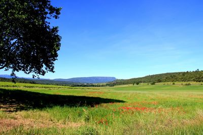 Scenic view of landscape against clear blue sky