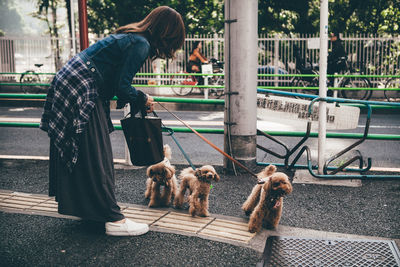 Woman with poodle dogs on street