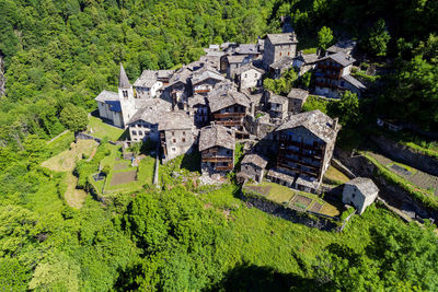 High angle view of trees and houses in village