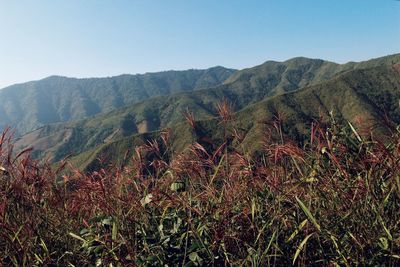 Scenic view of mountains against clear sky