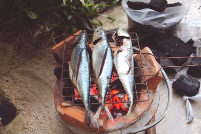 High angle view of food on ground