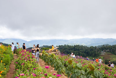 People on flowering plants against sky