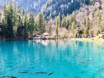 Blue lake scenery 