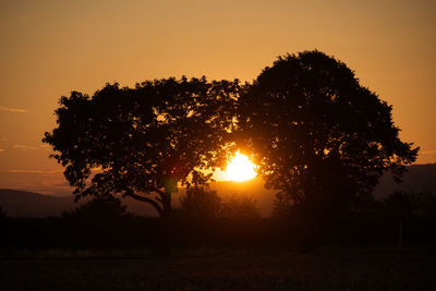 Silhouette trees on field against sky during sunset