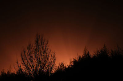 Low angle view of silhouette trees against sky at sunset