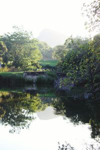 Scenic view of lake in forest against clear sky