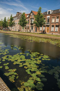 Reflection of trees and buildings in lake