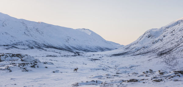 Scenic view of snowcapped mountains against clear sky