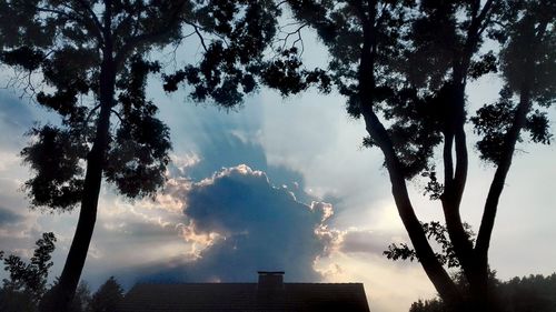 Low angle view of trees against cloudy sky