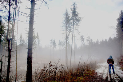 Rear view of people on snow covered land