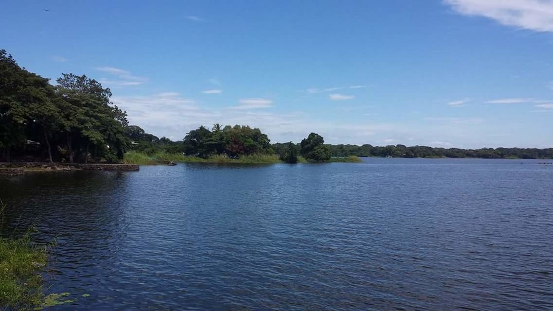 SCENIC VIEW OF LAKE BY TREES AGAINST SKY