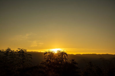 Silhouette trees against sky during sunset