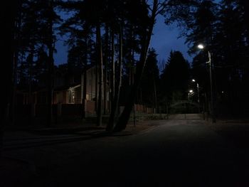 Street amidst trees at night