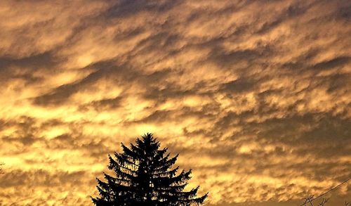 Low angle view of silhouette tree against sky during sunset