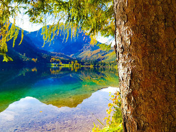 Scenic view of lake by tree mountains