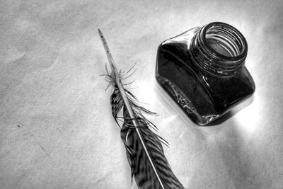 Close-up of feather with ink in bottle on table