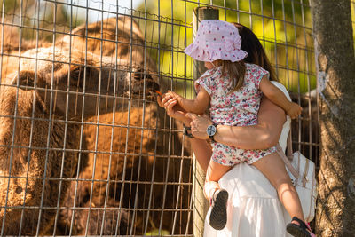 Two year old girl with mother in farmland feedinga camel. sunny day in farmland