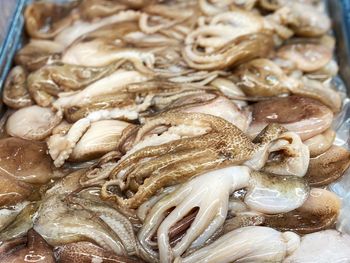 Close-up of fish for sale in market