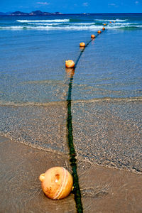 View of fruits on beach