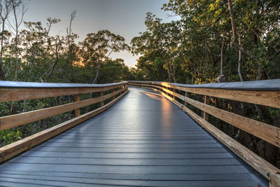 Narrow footbridge along plants and trees against sky