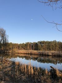 Scenic view of lake against clear sky