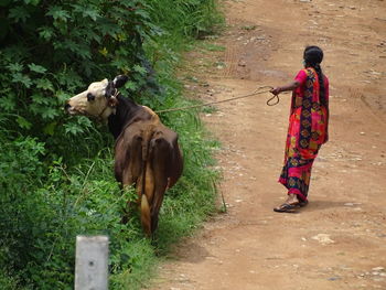 Rear view of man walking by plants