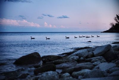 Scenic view of sea against sky during sunset