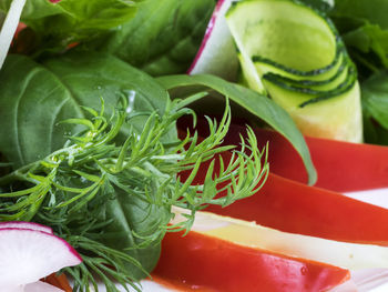 Close-up of fresh vegetable salad