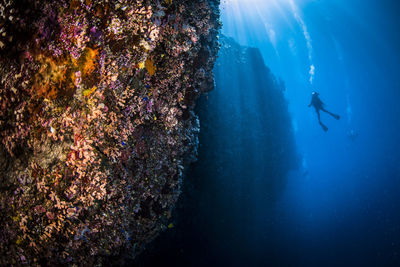 Man swimming in sea