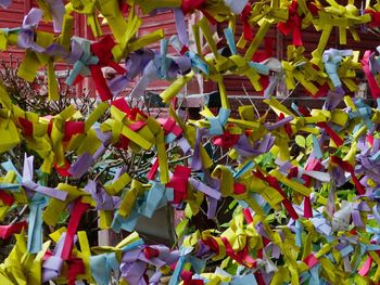 Full frame shot of multi colored candies