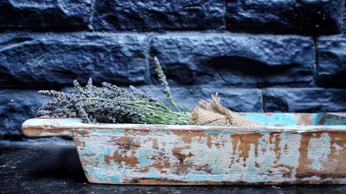 Close-up of plants against stone wall