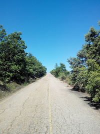 Empty road along trees