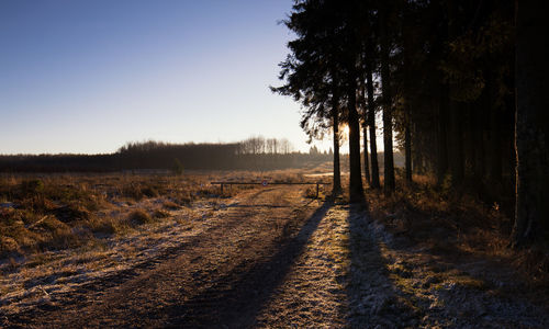 Trees on farm against clear sky