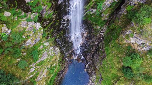 Scenic view of waterfall in forest