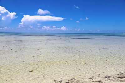 Scenic view of sea against blue sky