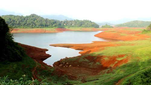 Scenic view of river passing through forest