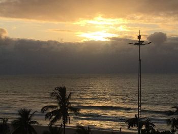 Silhouette palm tree by sea against sky during sunset