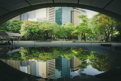 Trees by swimming pool against buildings in city