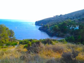 Scenic view of sea against clear sky