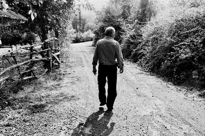 Rear view of woman walking in forest